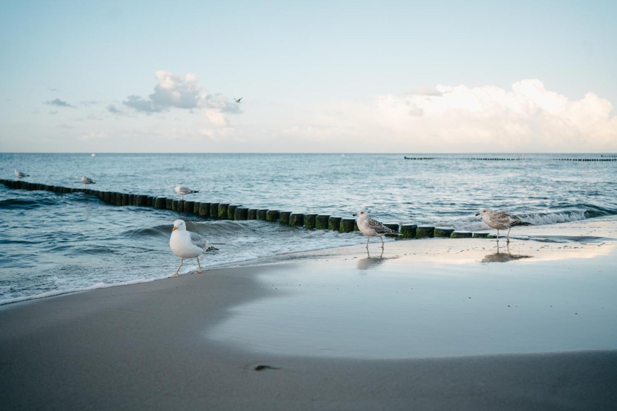 Kamphof Usedom Ferienanlage Loddin Luaran gambar
